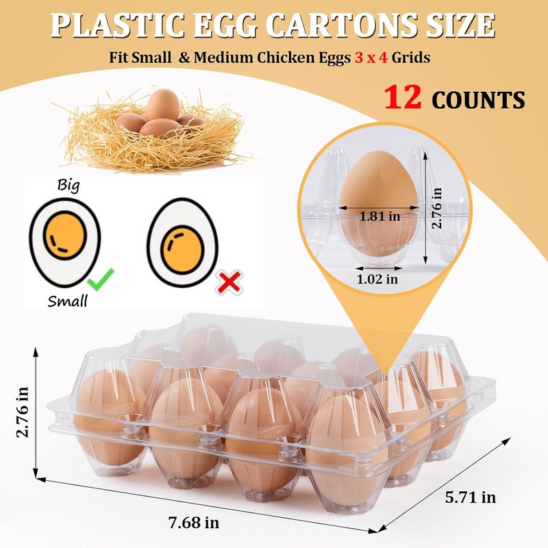 APOCHON 120 Pack Egg Cartons 12 Count, Plastic Egg Cartons Cheap Bulk for Fresh Eggs, Reusable Egg Holder Egg Trays for Home and Farmer's Markets Display, Medium Egg Containers for Refrigerator - Image 2